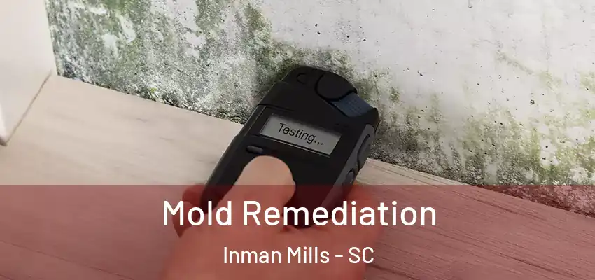  Mold Remediation Inman Mills - SC