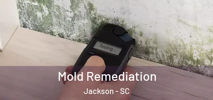 Mold Remediation Jackson - SC