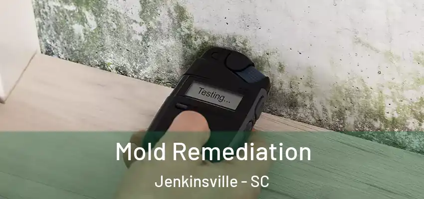 Mold Remediation Jenkinsville - SC