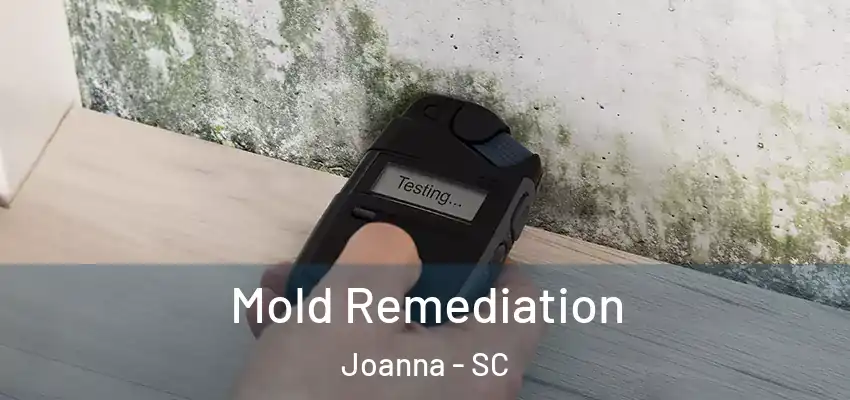  Mold Remediation Joanna - SC