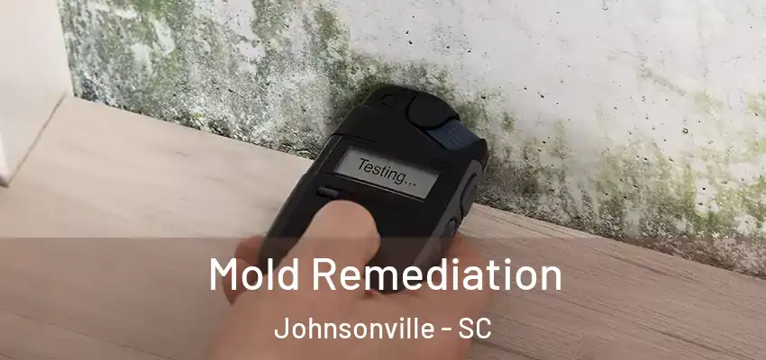  Mold Remediation Johnsonville - SC