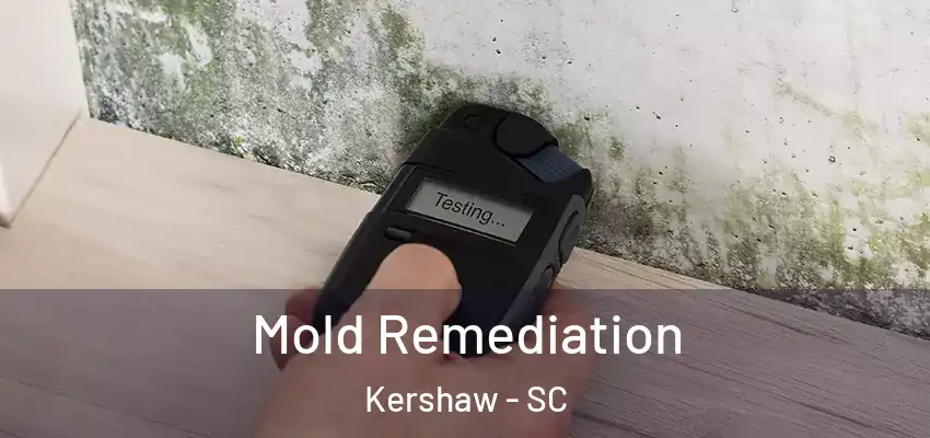  Mold Remediation Kershaw - SC