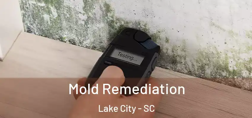  Mold Remediation Lake City - SC