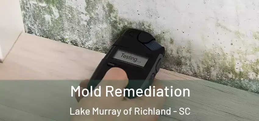 Mold Remediation Lake Murray of Richland - SC