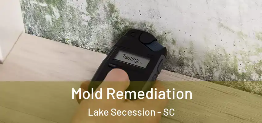  Mold Remediation Lake Secession - SC