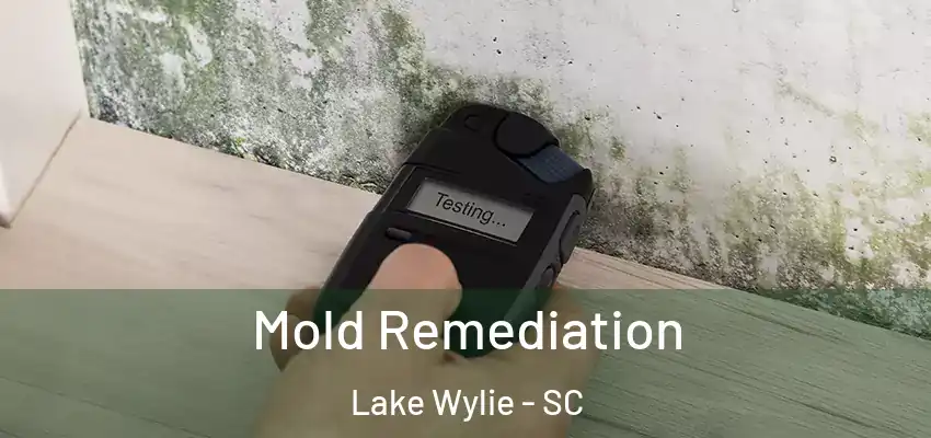  Mold Remediation Lake Wylie - SC
