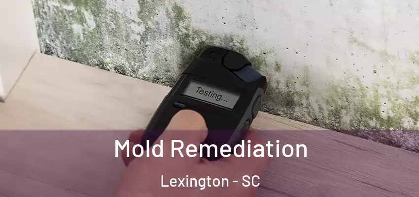  Mold Remediation Lexington - SC