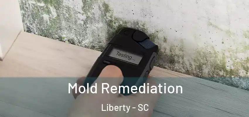  Mold Remediation Liberty - SC