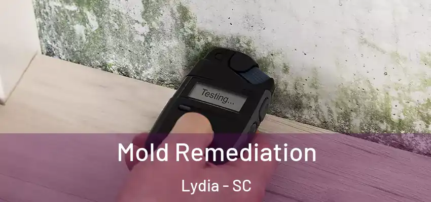  Mold Remediation Lydia - SC