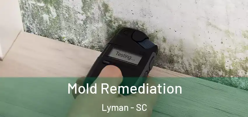  Mold Remediation Lyman - SC