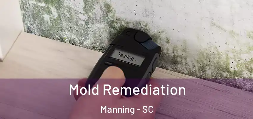 Mold Remediation Manning - SC