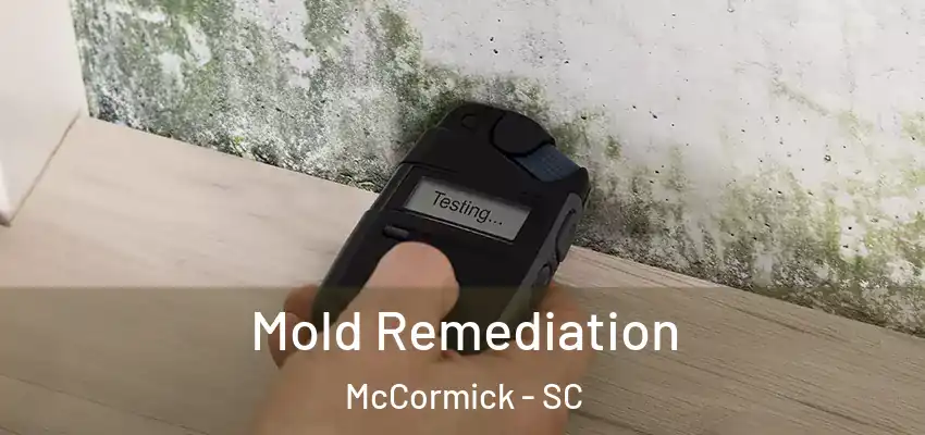Mold Remediation McCormick - SC
