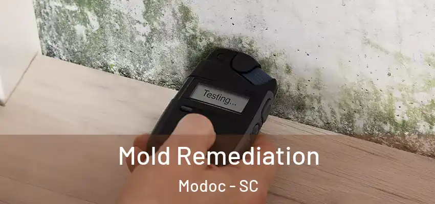  Mold Remediation Modoc - SC