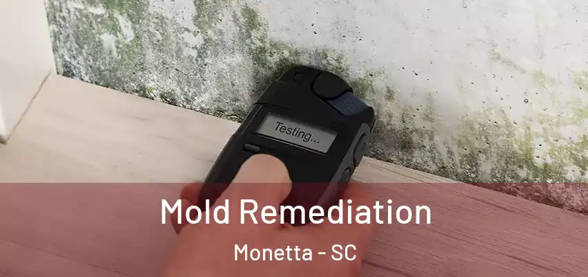Mold Remediation Monetta - SC
