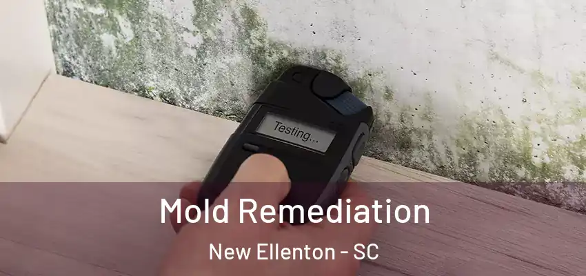  Mold Remediation New Ellenton - SC