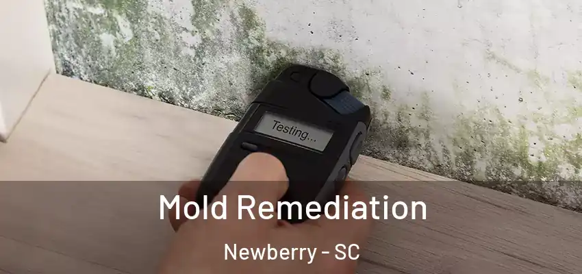  Mold Remediation Newberry - SC