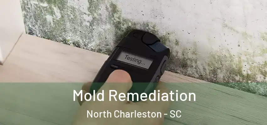  Mold Remediation North Charleston - SC