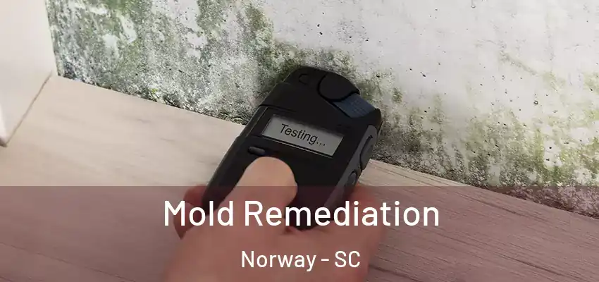  Mold Remediation Norway - SC