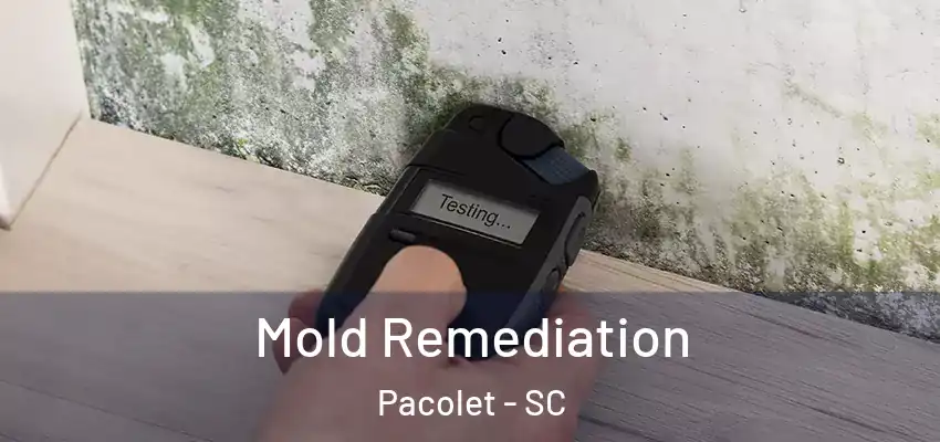  Mold Remediation Pacolet - SC