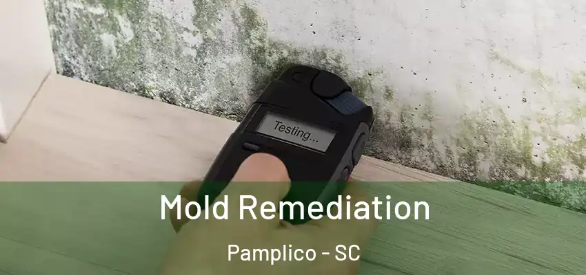Mold Remediation Pamplico - SC