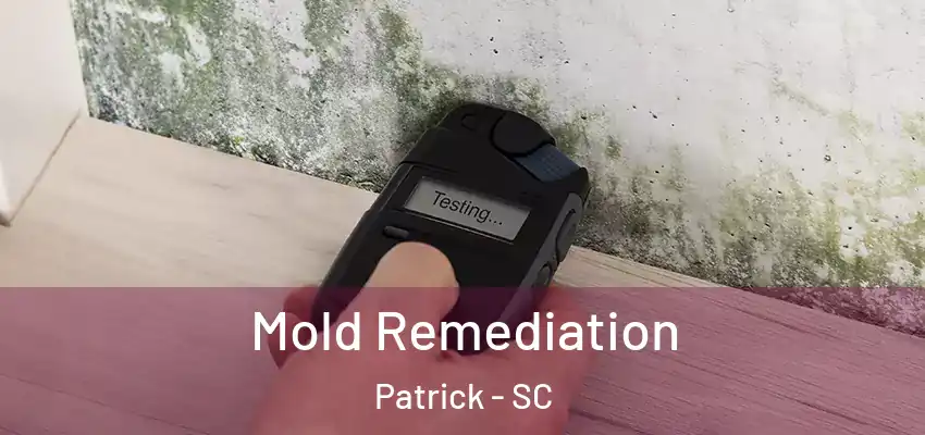 Mold Remediation Patrick - SC