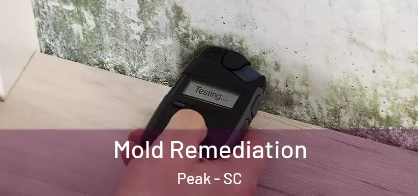  Mold Remediation Peak - SC