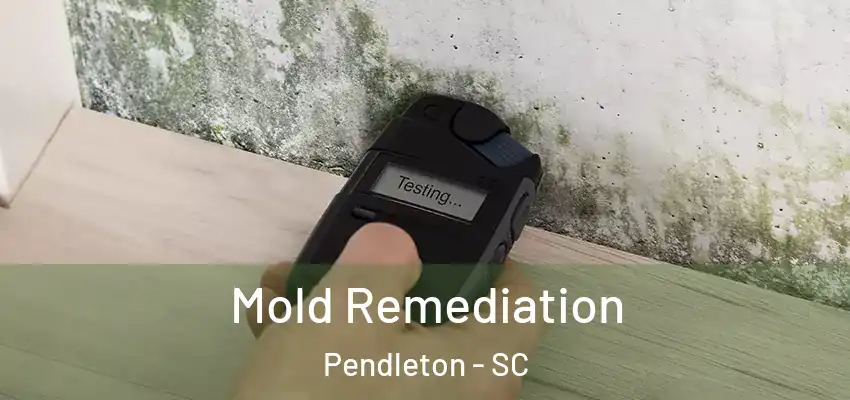 Mold Remediation Pendleton - SC