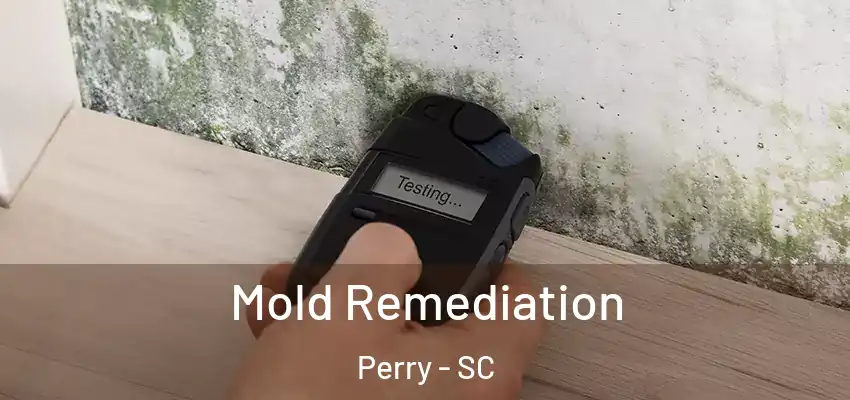Mold Remediation Perry - SC