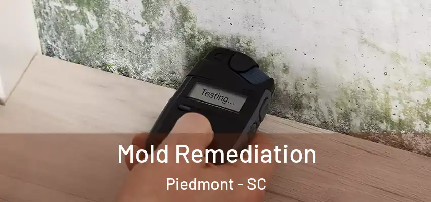 Mold Remediation Piedmont - SC
