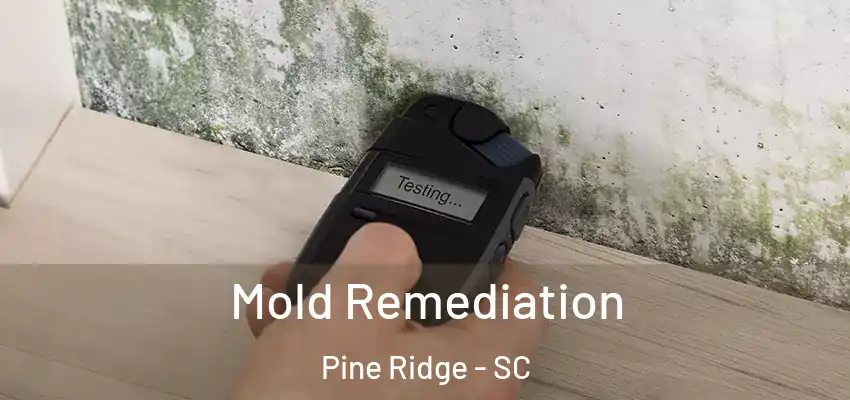  Mold Remediation Pine Ridge - SC