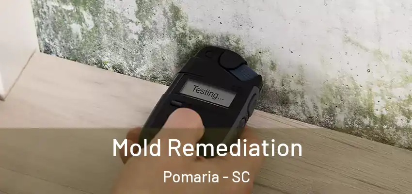  Mold Remediation Pomaria - SC