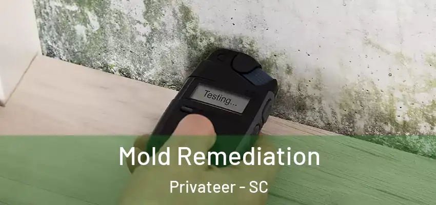  Mold Remediation Privateer - SC