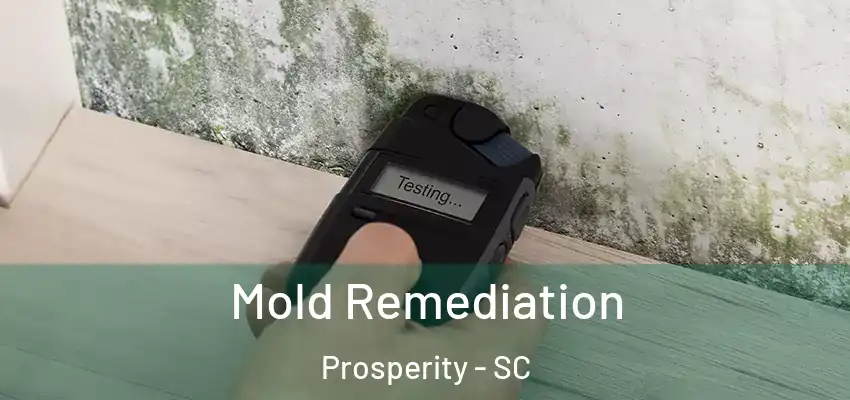 Mold Remediation Prosperity - SC