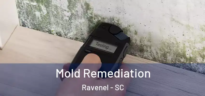  Mold Remediation Ravenel - SC