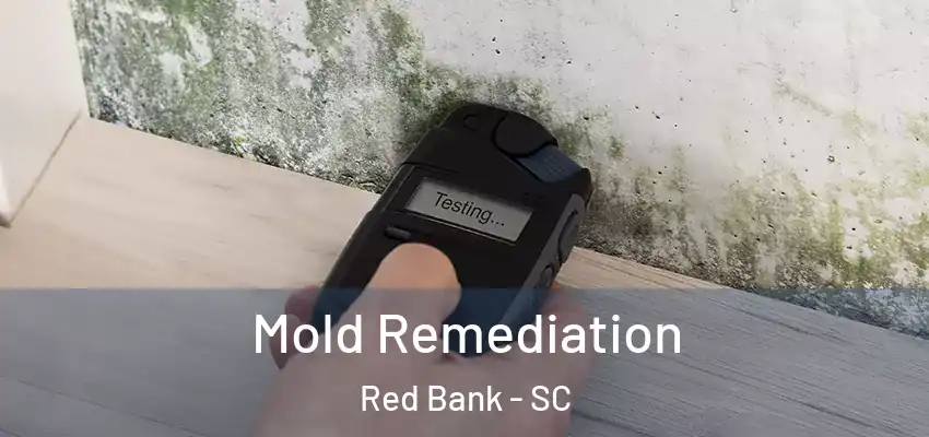 Mold Remediation Red Bank - SC