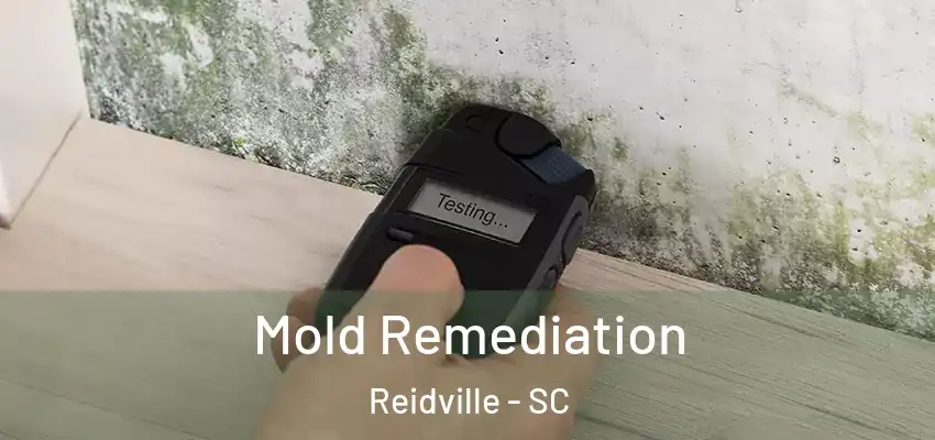  Mold Remediation Reidville - SC