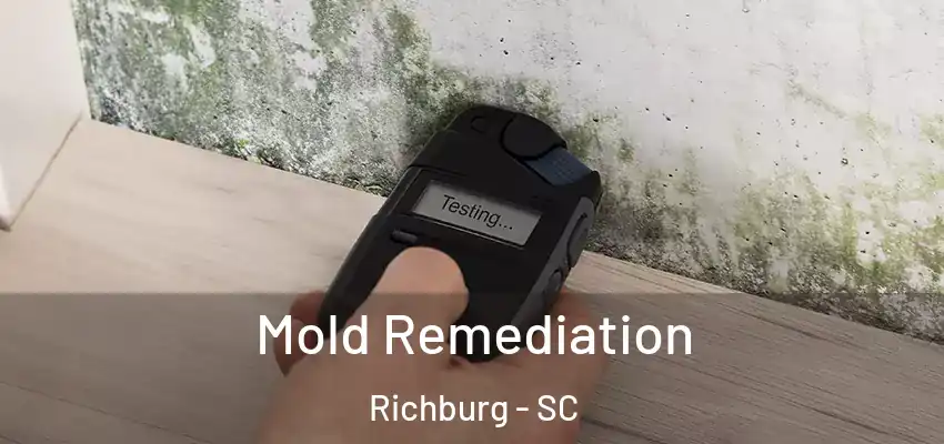Mold Remediation Richburg - SC