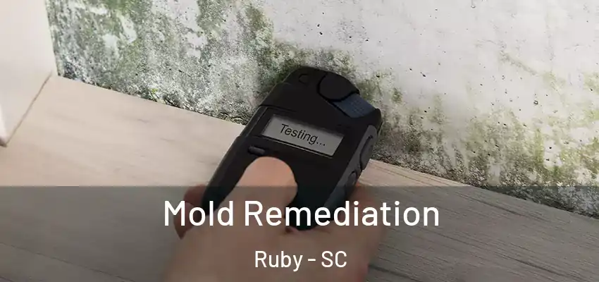  Mold Remediation Ruby - SC