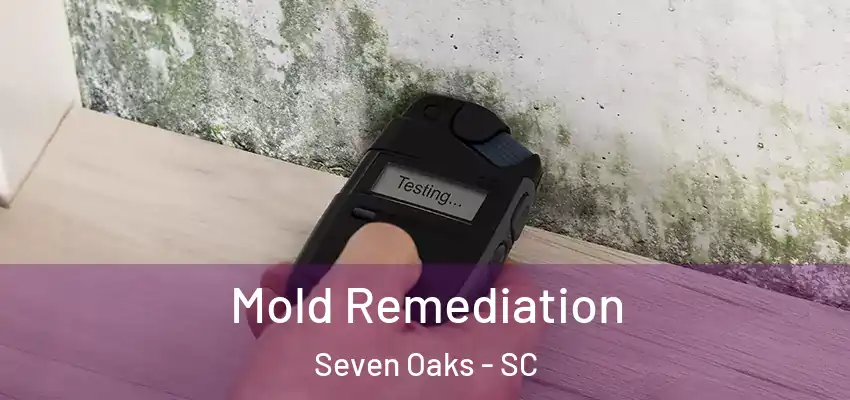 Mold Remediation Seven Oaks - SC