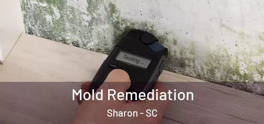  Mold Remediation Sharon - SC