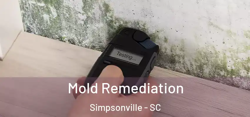  Mold Remediation Simpsonville - SC
