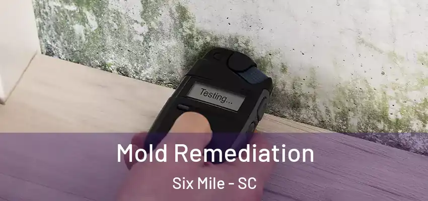  Mold Remediation Six Mile - SC
