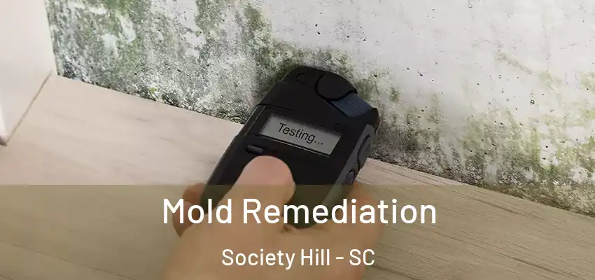  Mold Remediation Society Hill - SC
