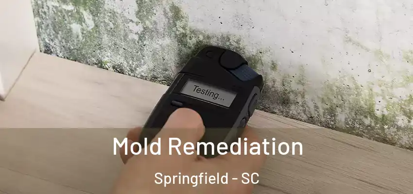 Mold Remediation Springfield - SC