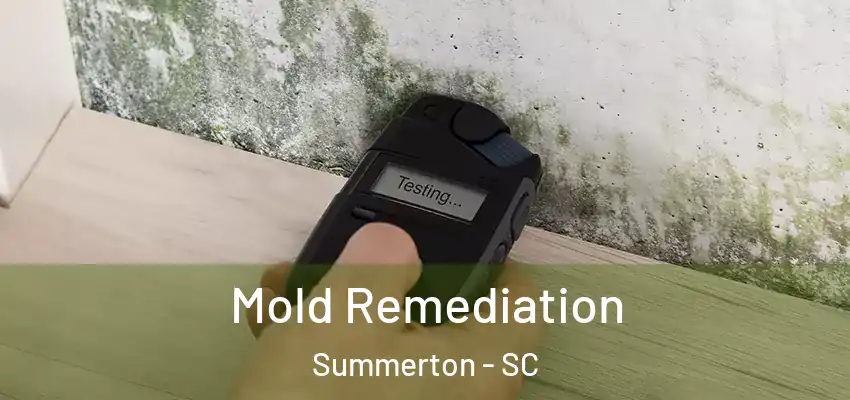 Mold Remediation Summerton - SC