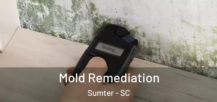  Mold Remediation Sumter - SC