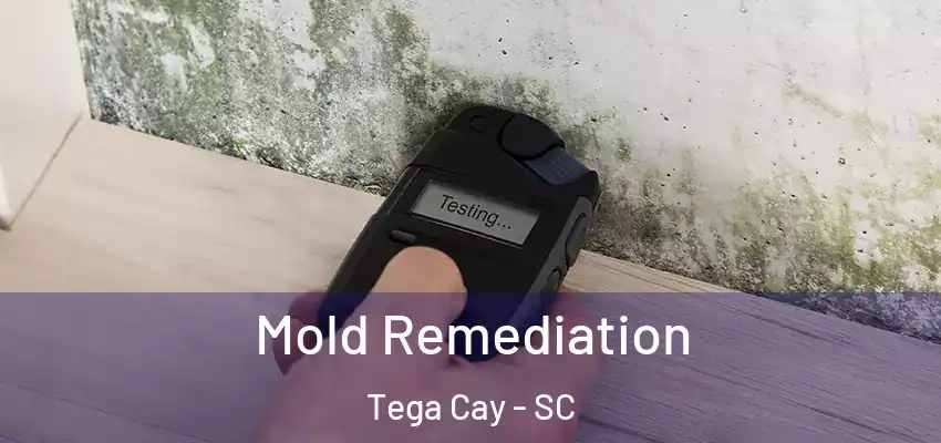  Mold Remediation Tega Cay - SC