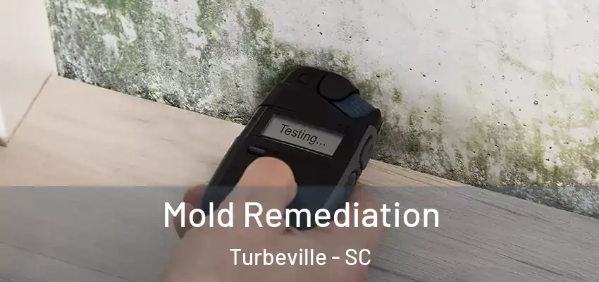  Mold Remediation Turbeville - SC