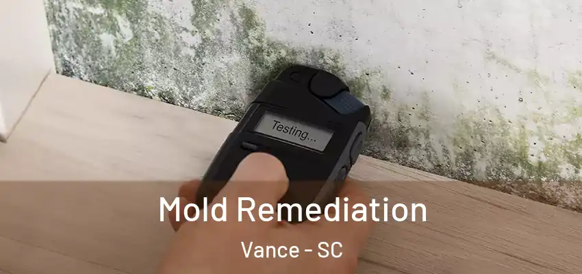  Mold Remediation Vance - SC