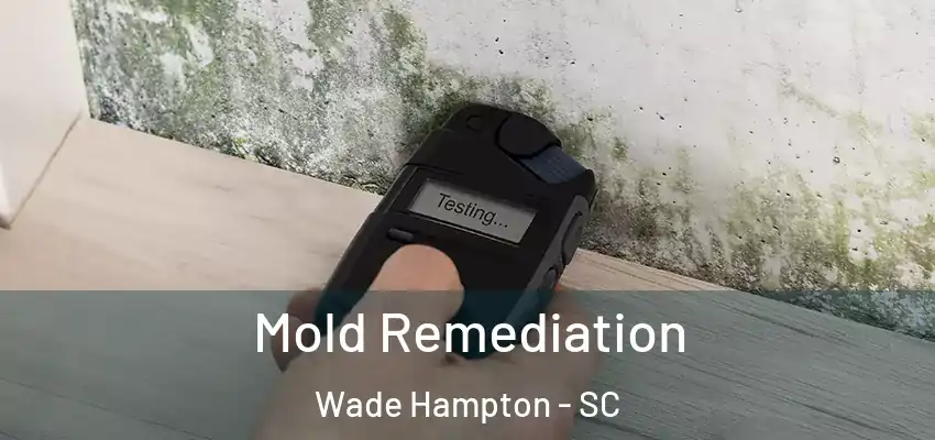 Mold Remediation Wade Hampton - SC